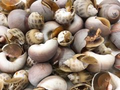 -金海湾海鲜排档(朱家尖店)