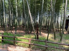 -同里国家湿地公园