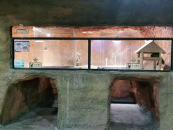 -酷嗒动物文化乐园(cutezoo西溪乐天城店)