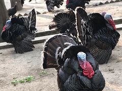 -南京金牛湖风景区