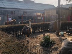 -有喜胶东小馆(超极合生汇太申祥和店)