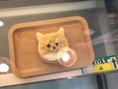 -柴迷FANS CLUB·柴犬狗咖·猫咖