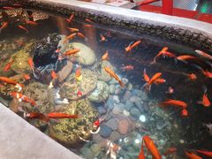 -黄家码头老火锅(解放碑旗舰店)