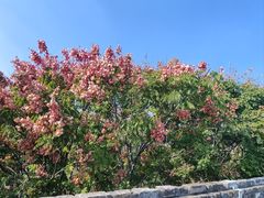 -东水关遗址公园