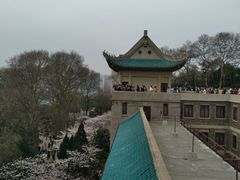 -武汉大学-樱园