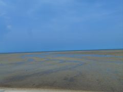 -北海金海湾红树林生态旅游区