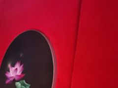 -徽三说·土徽菜·中国徽菜连锁品牌(一中店)