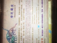 -自贡恐龙博物馆