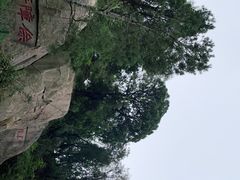 -泰山风景名胜区