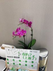 点击看大图 -杭州米兰柏羽医疗美容医院