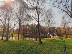 -尚贤河湿地