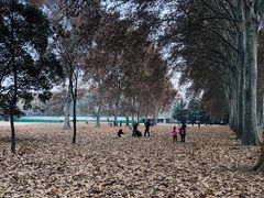 -河南省黄河迎宾馆