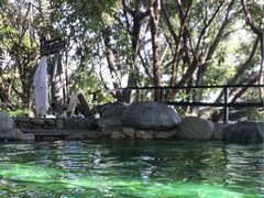 -湖泉半山温泉(湖泉生态园)