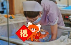 -萌诺尊享(外滩店)