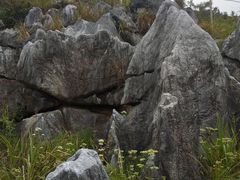 -千岛湖石林