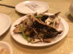 -广东名门