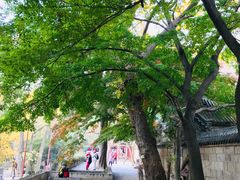 -青岛崂山太清宫