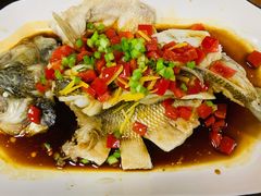 -家家月嫂育婴师育儿嫂(龙岗直营店)