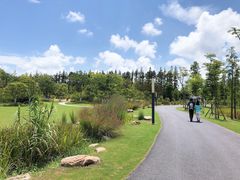 -上海长兴岛郊野公园