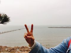 -青岛第二海水浴场