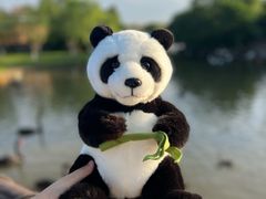 -上海野生动物园