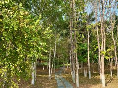 -长春世界雕塑园冰雪艺术天地