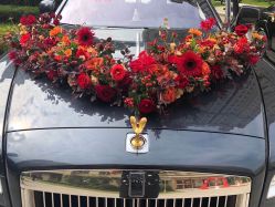 -宁波甬诚婚车(新典路店)