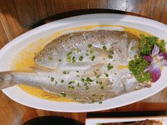 -梁溪河畔·吉府花园(南长街南下塘店)