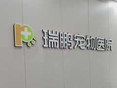 -瑞鹏宠物医院·骨外科·心肾科·肿瘤科(九亭店)