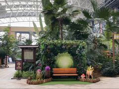 -郑州银基黄帝宫御温泉