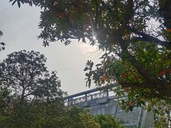 -苏州青少年科技馆