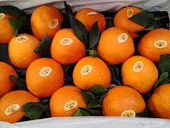 -上海龙吴水胜海发市场