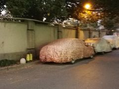-古荡新村东区