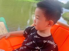 -黄海国家森林公园