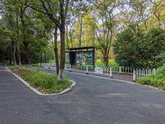 -东平国家森林公园