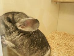 -龙猫仔乐园(惠福东路店)