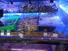 水产区-渔民船说·北塘海鲜·天津菜·海肠捞饭(北塘古镇店)