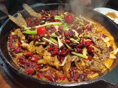 -老板恋上鱼(振华商厦店)