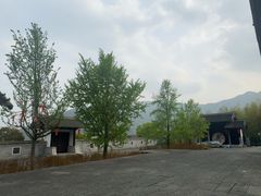 -大唐贡茶院