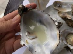 -Oyster Talks 四度蚝法餐厅