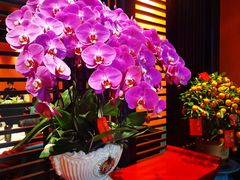 -粥旺庄(芳村店)