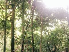 -磐安舞龙峡景区