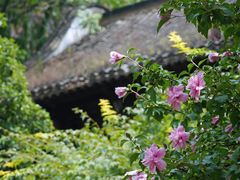 -南京民俗博物馆(甘熙故居)