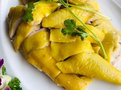 白切文昌鸡-墨脱石锅椰子鸡•香草鸭•东山羊(大东海店)