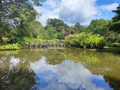 -中国科学院西双版纳热带植物园