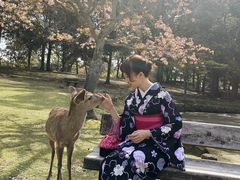 -枫雅和服体验(奈良店)