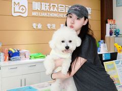 -美联众合动物医院·24h京西诊疗中心