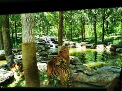 -北京野生动物园