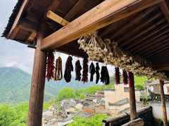 -婺源风景区