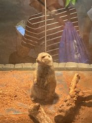 -Zoolung Zoolung动物主题公园(海信广场店)